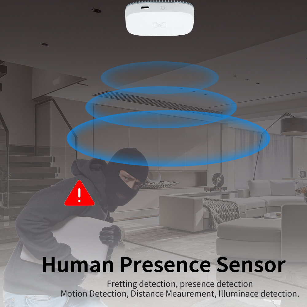24G Mmwave Radar Menselijke Aa - Zigbee Motion Sensor recensie en prijs