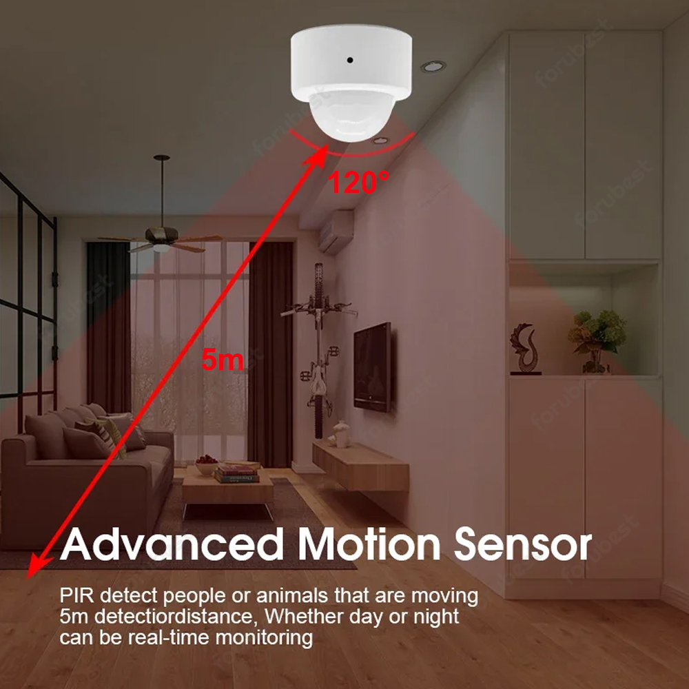 Zigbee 3.0 Menselijke beweging - Zigbee Motion Sensor recensie en prijs