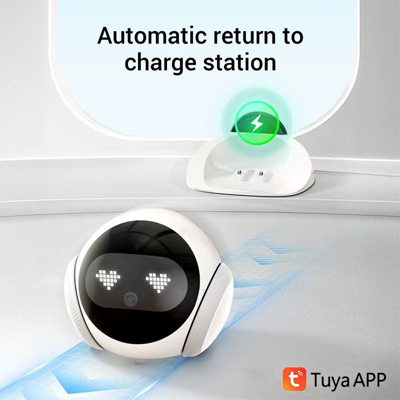 Slimme Elektronische Huisdier- - Smart Elderly Home recensie en prijs